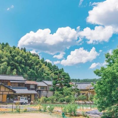 马年盛夏真要热哭吗