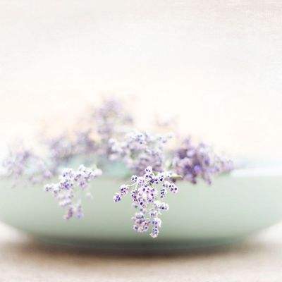 景顺长城智能生活混合A净值上涨4.61%