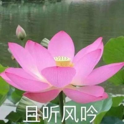 超8亿资金出逃明阳智能，机构狂买浙江新能（名单）丨龙虎榜